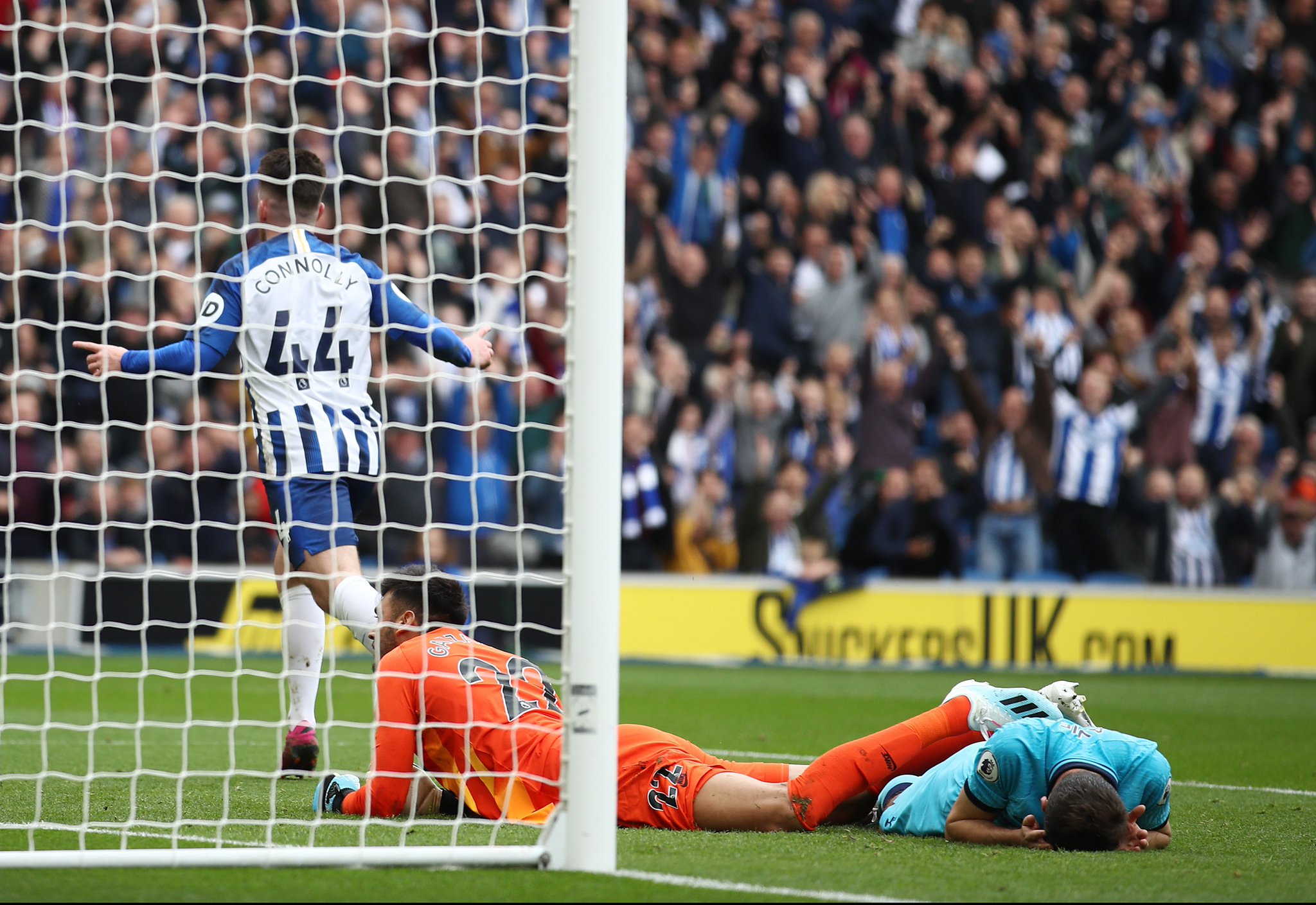 的完美结合 的完美结合